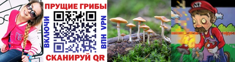 Галлюциногенные грибы ЛСД Каменск-Шахтинский