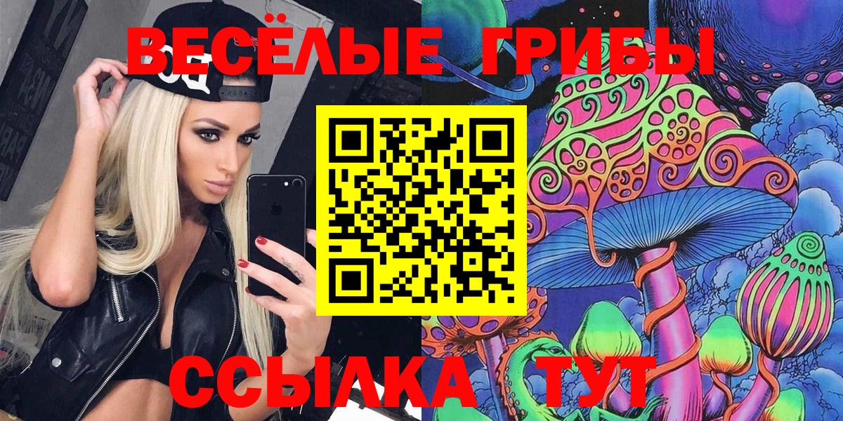 Псилоцибиновые грибы Psilocybe Каменск-Шахтинский