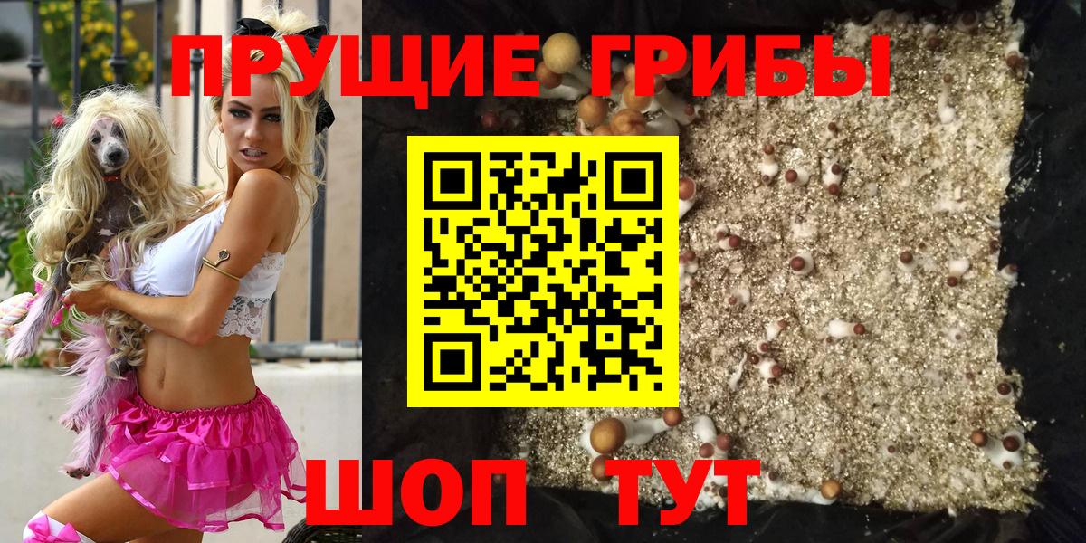 Галлюциногенные грибы прущие грибы  где купить наркотик  Вход с VPN  Каменск-Шахтинский  Галлюциногенные грибы прущие грибы 